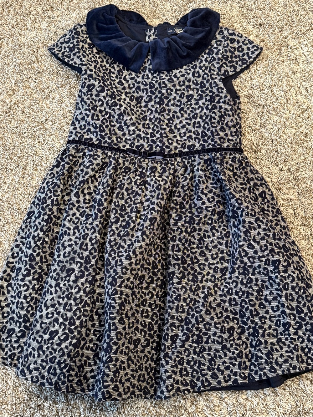Navy and Cream Leopard-Print Velvet Collar Party Dress for Girls